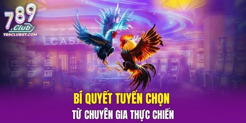 Bí quyết tuyển chọn từ chuyên gia thực chiến