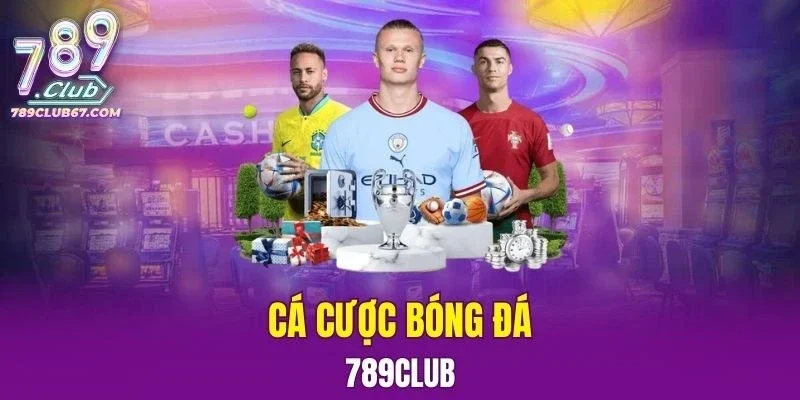 Cá Cược Bóng Đá