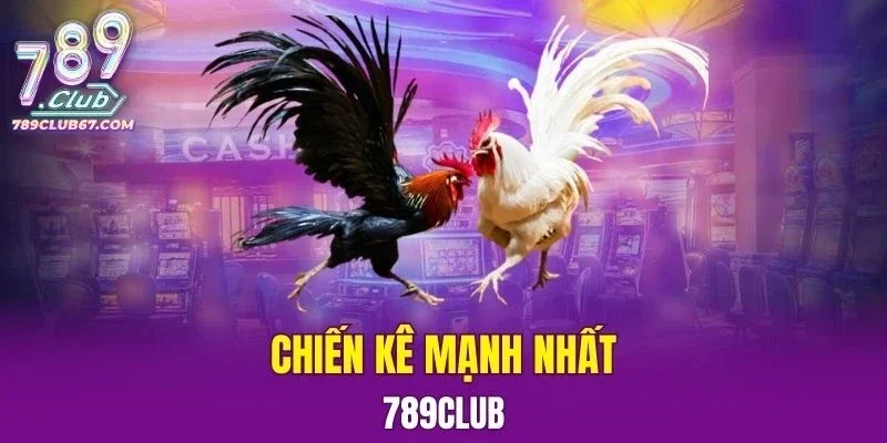 Chiến Kê Mạnh Nhất