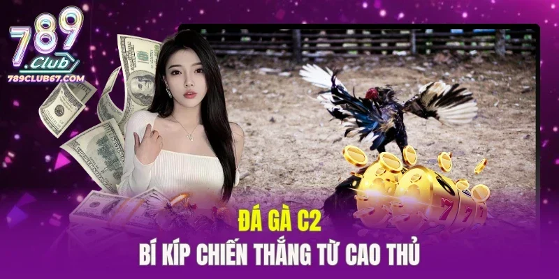 Đá Gà C2
