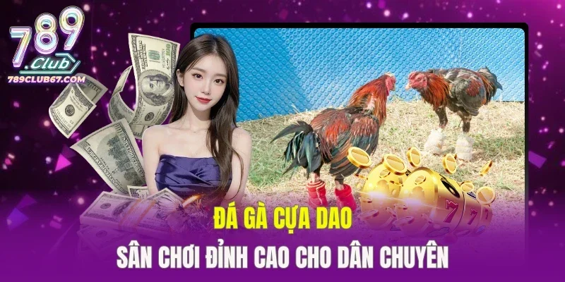 Đá Gà Cựa Dao