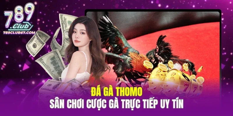 Đá Gà Thomo