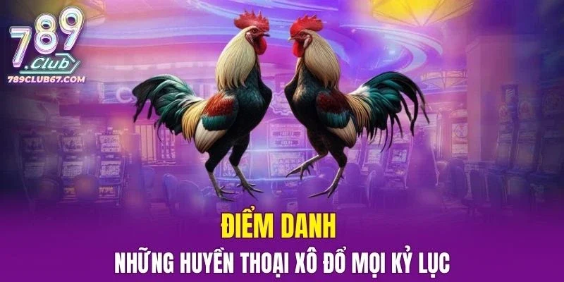 Điểm danh những huyền thoại xô đổ mọi kỷ lục năm 2026