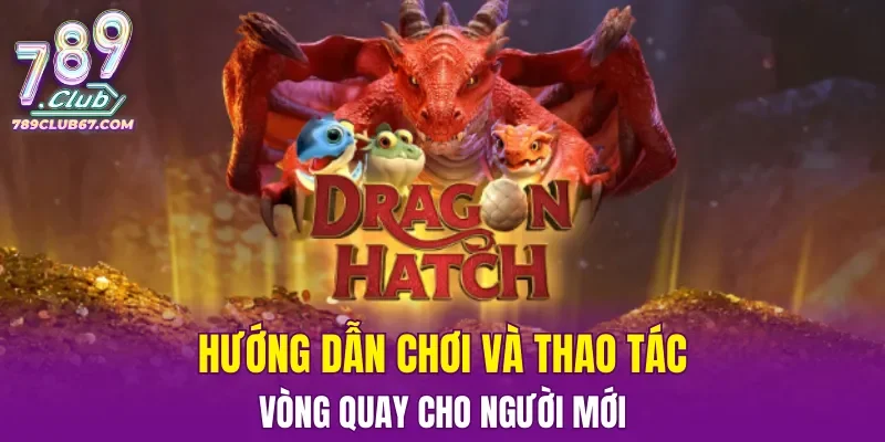 Hướng dẫn chơi và thao tác vòng quay cho người mới