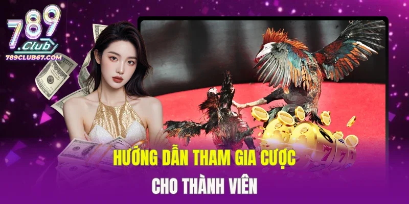 Hướng dẫn tham gia cược cho thành viên