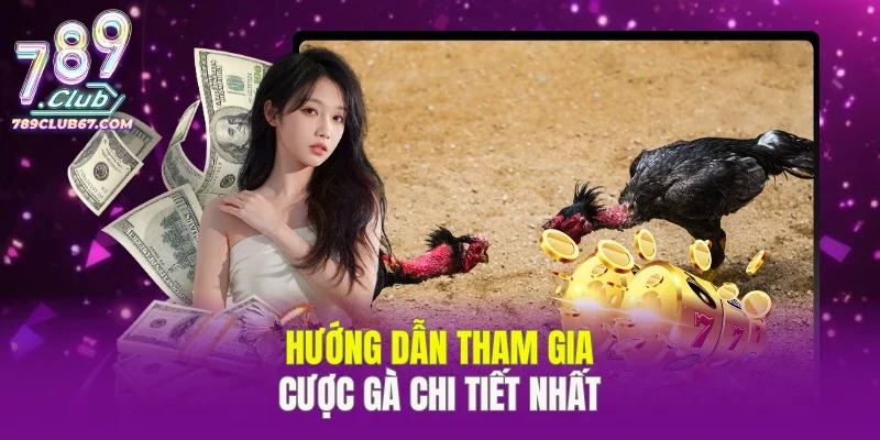 Hướng dẫn tham gia cược gà chi tiết nhất