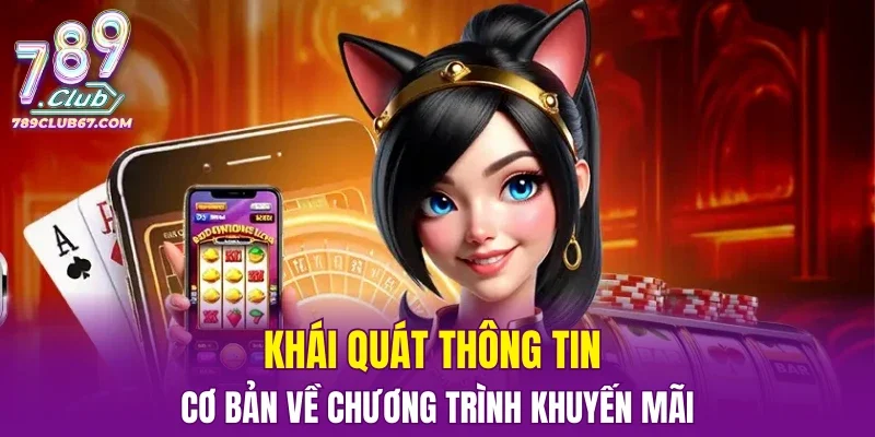 Khái quát thông tin cơ bản về chương trình khuyến mãi