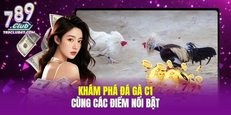 Khám phá đá gà C1 cùng các điểm nổi bật