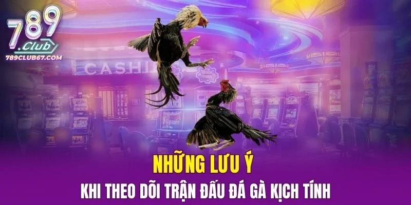 Tổng hợp những lưu ý khi theo dõi trận đấu Đá Gà