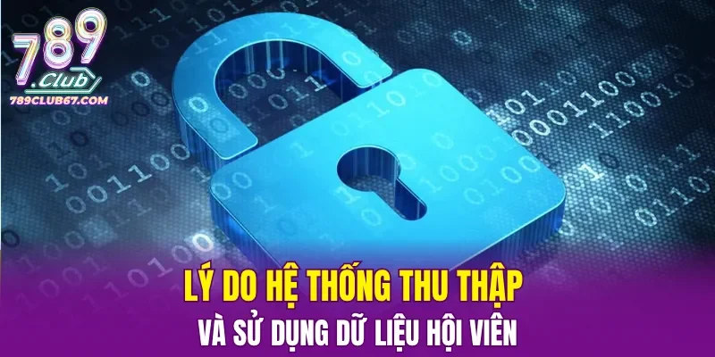 Lý do hệ thống thu thập và sử dụng dữ liệu hội viên