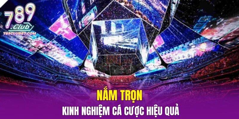 Nắm trọn kinh nghiệm cá cược hiệu quả