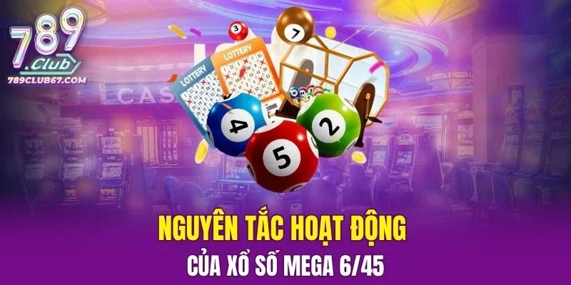 Nguyên tắc hoạt động của xổ số 