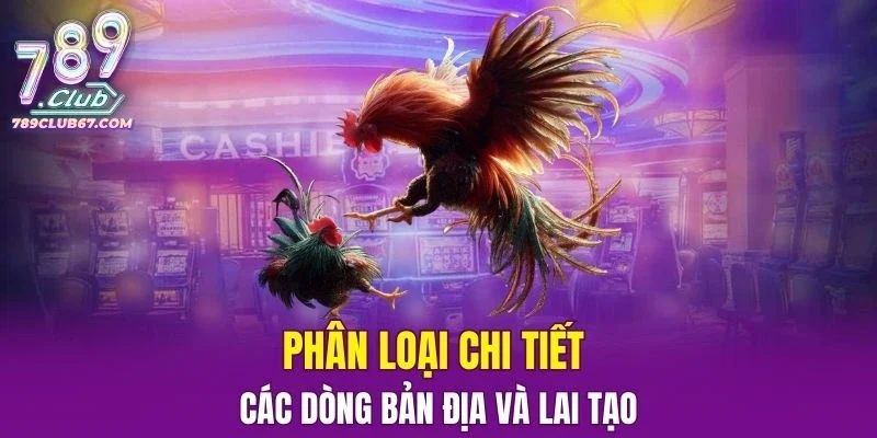 Hướng dẫn phân loại chi tiết các dòng bản địa và lai tạo