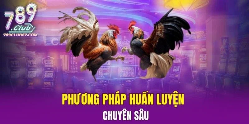 Tham khảo phương pháp huấn luyện chuyên sâu