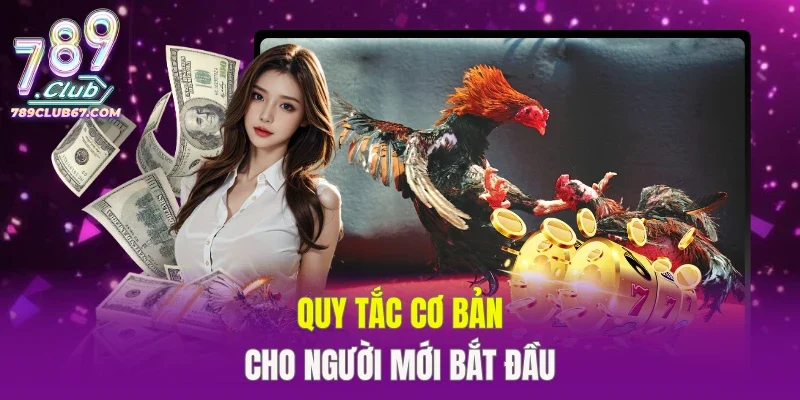 Quy tắc cơ bản cho người mới bắt đầu