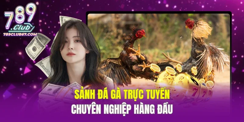 Sảnh đá gà trực tuyến chuyên nghiệp hàng đầu