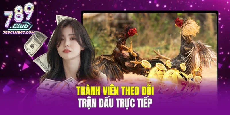 Thành viên theo dõi trận đấu trực tiếp