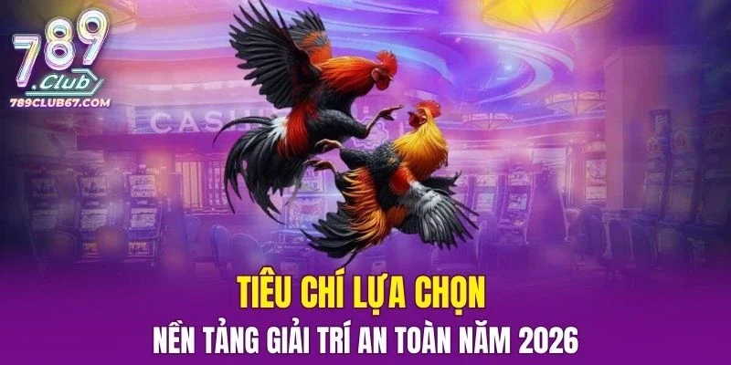 Tiêu chí lựa chọn nền tảng giải trí an toàn năm 2026