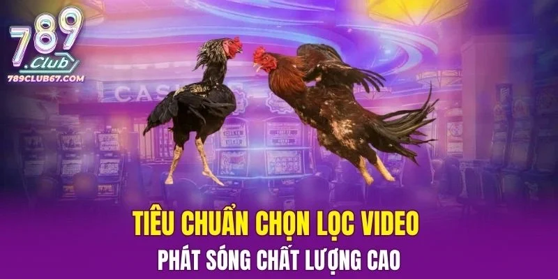 Tiêu chuẩn chọn lọc video phát sóng chất lượng cao