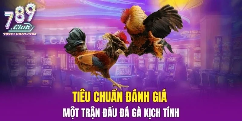 Tiêu chuẩn đánh giá một trận đấu Đá Gà kịch tính